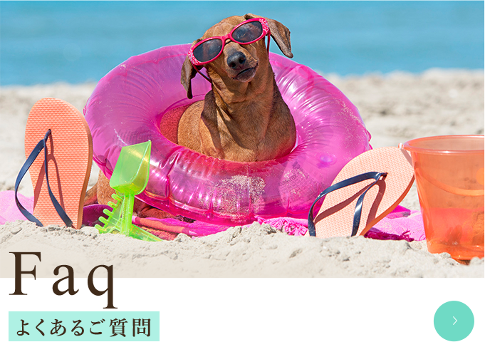 よくあるご質問